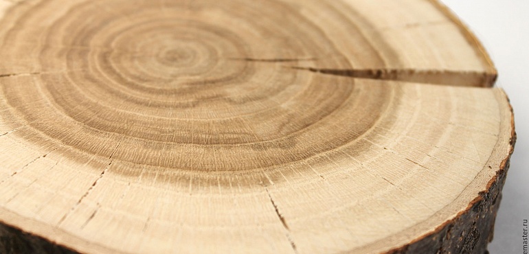 Подробнее о древесине: ясень